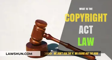 Understanding the Copyright Act Law: Protecting Creative Works and Rights