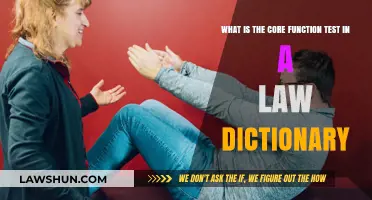Understanding the Core Function Test: A Law Dictionary Definition Explained