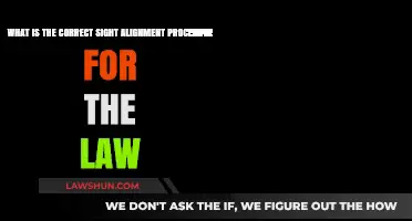 Mastering Sight Alignment: Essential Steps for Law Enforcement Accuracy