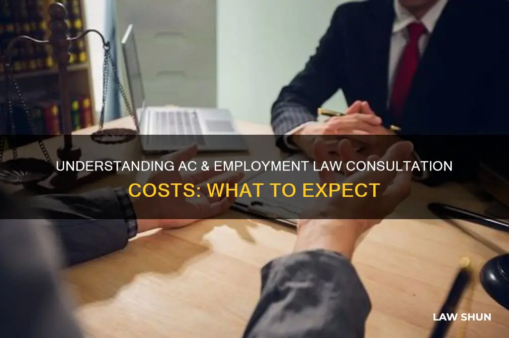 what is the cost of ac n employment law consultation