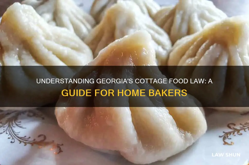 Understanding Georgia's Cottage Food Law: A Guide For Home Bakers | LawShun