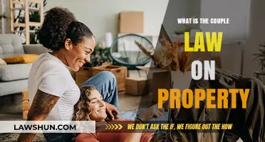 Understanding Couple Property Rights: Legal Insights on Shared Assets