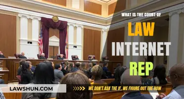 Understanding the Court of Law's Internet Reputation: A Comprehensive Guide