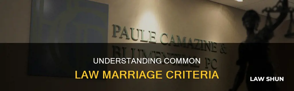 what is the criteria for common law marriage