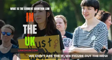 UK Abortion Law: Understanding the Current Legal Landscape