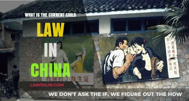 Understanding China's Current Child Law: Key Provisions and Implications