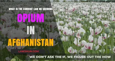 Afghanistan's Opium Cultivation Laws: Current Legal Status and Implications