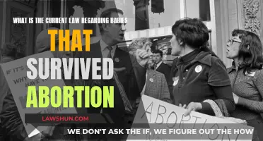 The Law and Abortion Survivors: What's the Current Status?