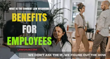 Understanding Employee Benefits: Current Legal Rights and Entitlements Explained