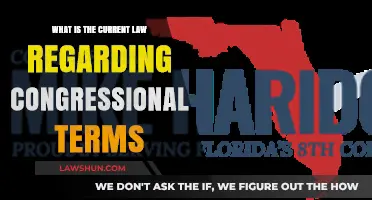 Understanding Current Congressional Term Limits: Legal Framework and Implications