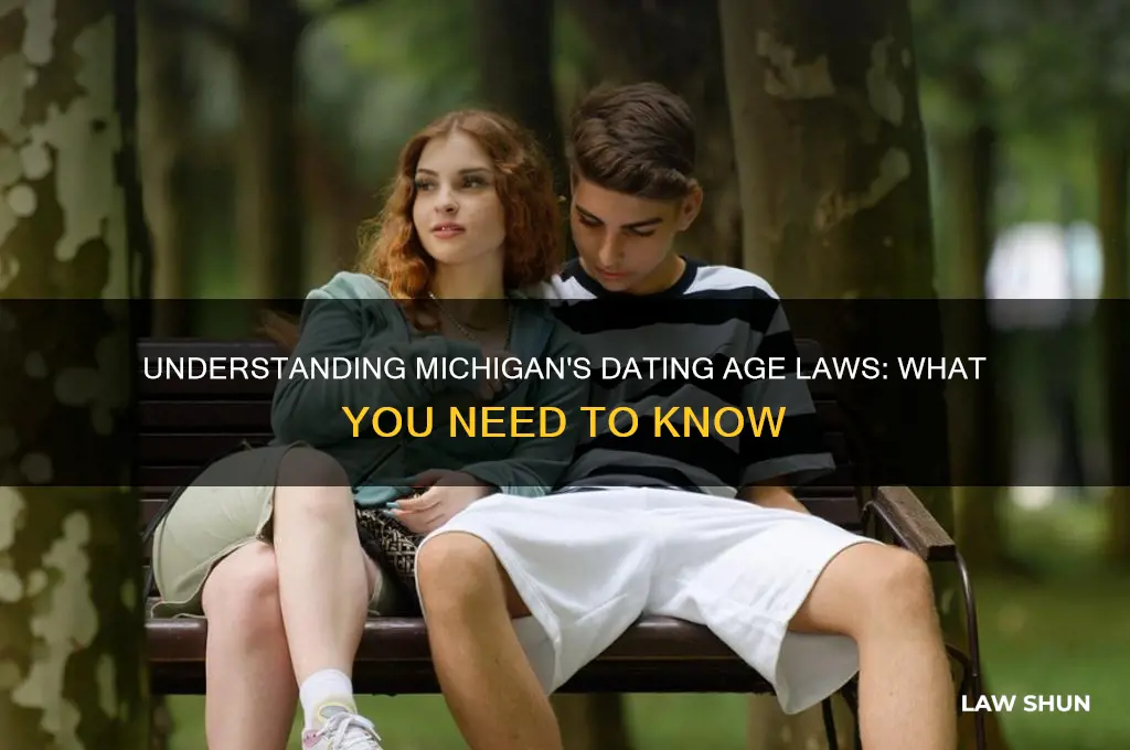 what is the dating age law in michigan
