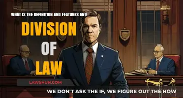 Understanding Law: Definition, Key Features, and Its Divisions Explained