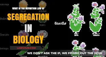 Understanding Mendel's Law of Segregation in Biological Inheritance