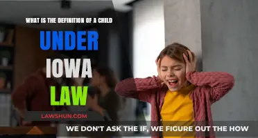 Understanding Iowa Law: Defining a Child and Its Legal Implications
