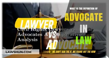 Understanding the Role: Advocate's Legal Definition and Responsibilities Explained
