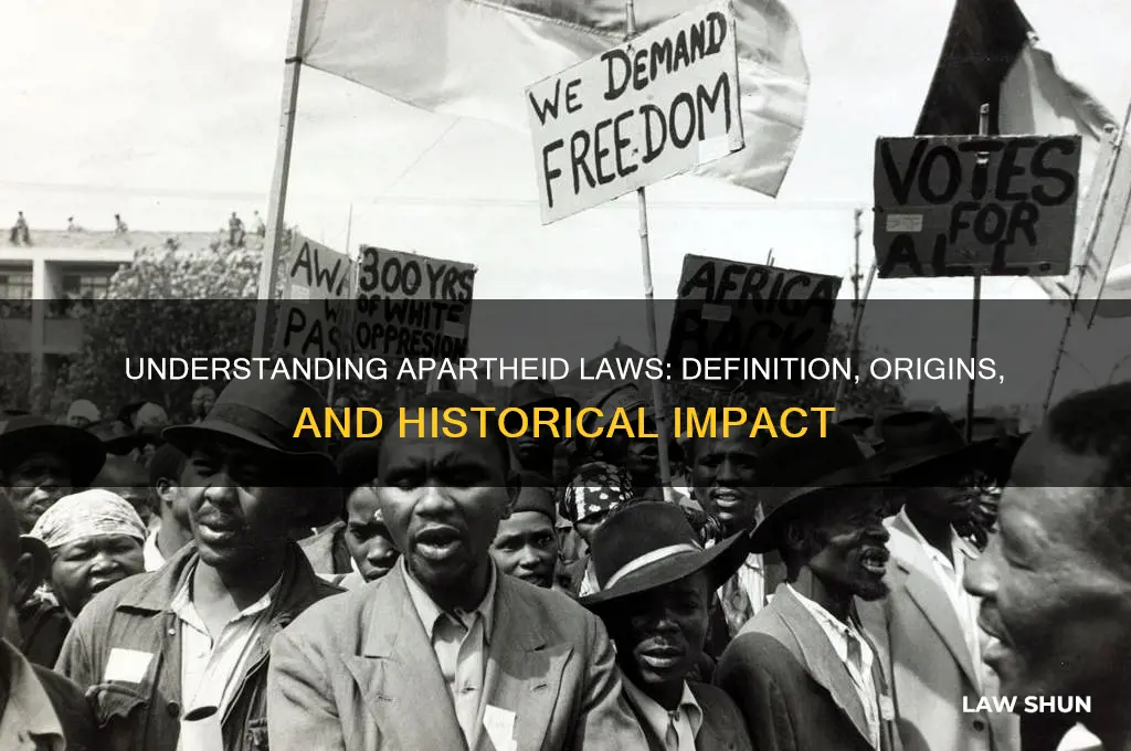 what is the definition of apartheid laws