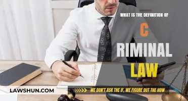 Understanding Criminal Law: Definition, Scope, and Key Principles Explained