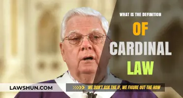 Understanding Cardinal Law: Core Principles and Universal Significance Explained