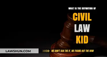 Understanding Civil Law: A Simple Definition for Kids Explained