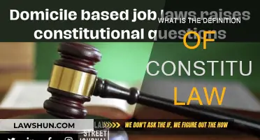 Understanding Constitutional Law: Definition and Basics