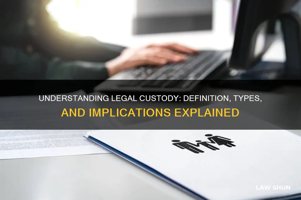 what is the definition of custody in law