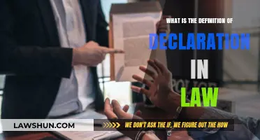 Understanding Legal Declarations: Definition, Purpose, and Importance in Law