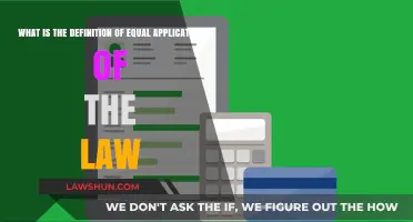 Understanding Equal Application of the Law: Definition and Importance