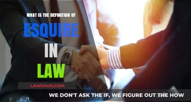 Understanding the Legal Title: What Does Esquire Mean in Law?