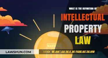Understanding Intellectual Property Law: Definition, Scope, and Importance