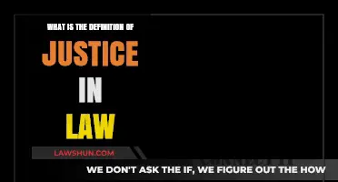 Understanding Justice: Legal Definition, Principles, and Application in Law