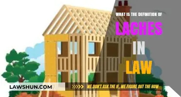 Understanding Laches: Legal Definition, Doctrine, and Application in Law