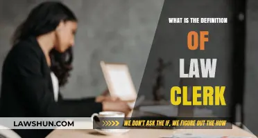 Understanding the Role and Responsibilities of a Law Clerk