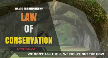 Understanding the Law of Conservation: Definition and Scientific Principles
