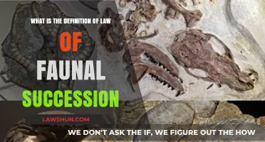 Understanding the Law of Faunal Succession: A Paleontological Definition