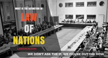 Understanding the Law of Nations: Definition, Origins, and Global Impact