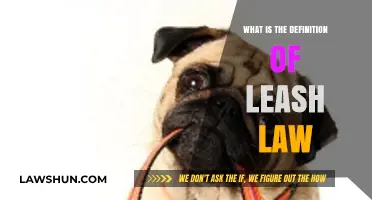 Understanding Leash Laws: Definition, Importance, and Compliance for Dog Owners