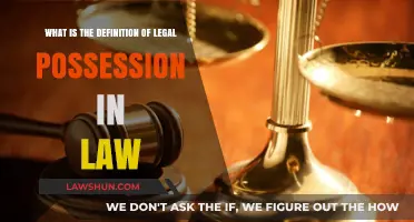 Understanding Legal Possession: Key Definitions and Implications in Law