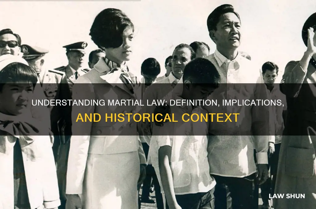 what is the definition of maritial law