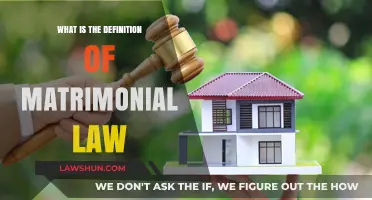Understanding Matrimonial Law: Definition, Scope, and Legal Implications Explained