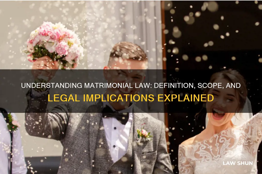 what is the definition of matrimonial law