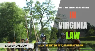 Understanding Virginia's Legal Definition of Militia: Key Concepts Explained