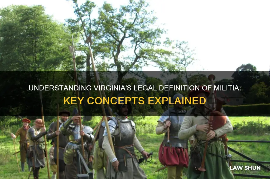 what is the definition of militia in virginia law