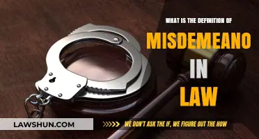 Understanding Misdemeanors: Legal Definition, Consequences, and Key Examples