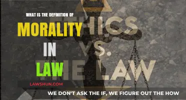 Understanding Morality's Role in Legal Definitions and Ethical Boundaries