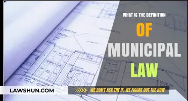 Understanding Municipal Law: Definition, Scope, and Local Legal Framework