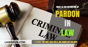 Understanding the Legal Definition of Pardon: Rights, Process, and Implications