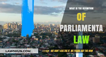 Understanding Parliamentary Law: Definition, Purpose, and Key Principles Explained