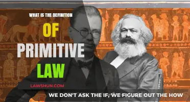 Understanding Primitive Law: Origins, Characteristics, and Historical Significance