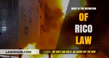 Understanding RICO Law: Definition, Origins, and Key Provisions Explained
