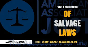 Understanding Salvage Laws: Definition, Rights, and Legal Implications Explained